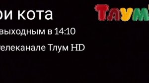 Заставка и анонсы (Телеканал Тлум HD 04.01.2025)