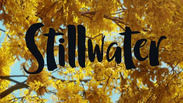 Чистая вода (сезон 3, серия 4, тифлокомментирование на русском) смотреть онлайн