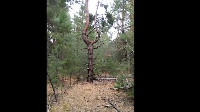 МЕСТА СИЛЫ С ДВОРЯНКИНОЙ ОЛЬГОЙ В Г ЭНГЕЛЬСЕ ,ГЕОАКТИВНЫЕ МЕСТА,СДВИГ ВО ВРЕМЕНИ смотреть онлайн