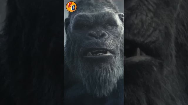 🚨GODZILLA X KONG 3 CONFRIMADA🚨, 😱POPPY PLAYTIME PELÍCULA😱 | GOLLUM TENDRA PELÍCULA смотреть онлайн
