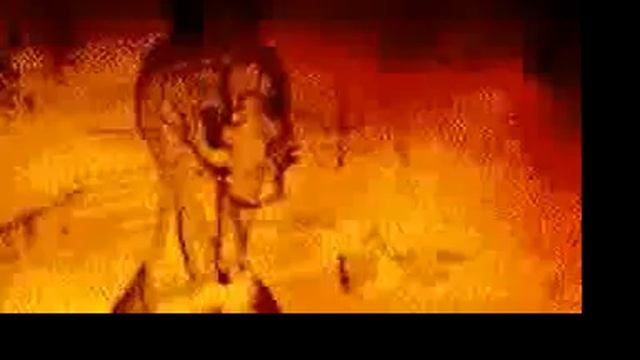 Satan 666 смотреть онлайн