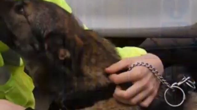 Security Services & Equipment - Walford Security Ltd смотреть онлайн