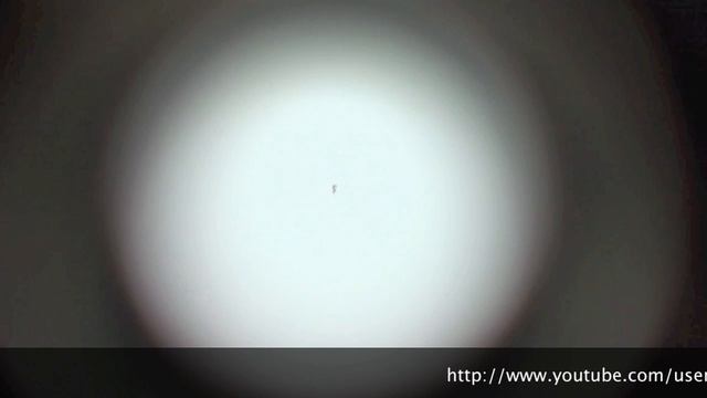 UFO HUMANOID/EBANI/ENTITY Filmed in North Miami Nov.30/2011 (STILLs added) смотреть онлайн