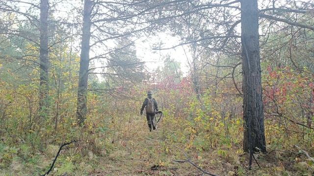 Осенняя охота на уток. смотреть онлайн