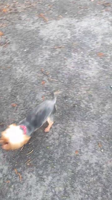 12 апреля к полету готовы!