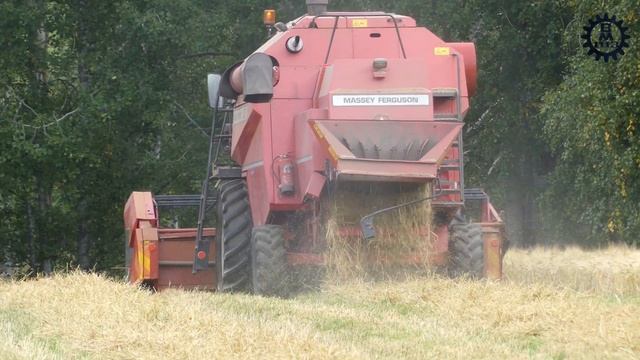 Massey Ferguson 23 (Sampo)  Combine Harvester In Work