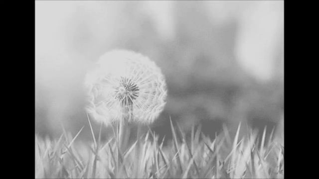 t.A.T.u. - Cosmos (Outer Space) Fanmade смотреть онлайн