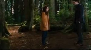 Сумерки. Сага. Новолуние