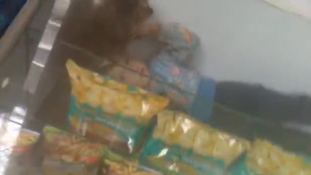 Новый товар - уже на прилавках вашего магазина.mp4 смотреть онлайн