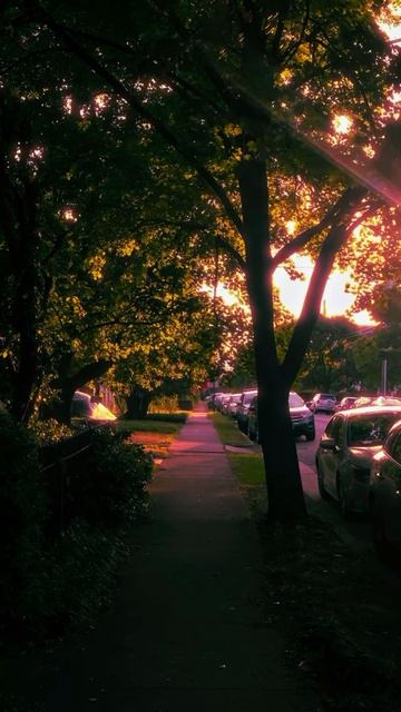 Прекрасное утро🥰