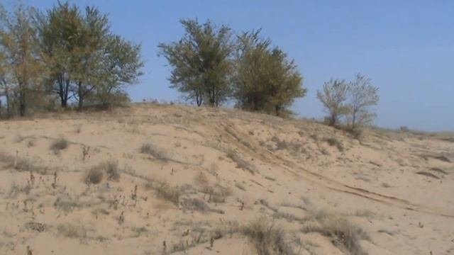 МТ клуб смотреть онлайн