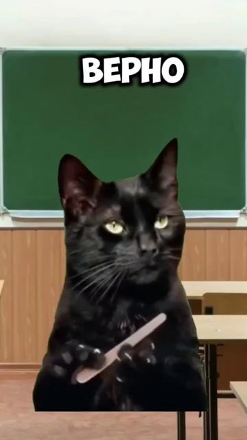 ФАТАЛЬНАЯ ОШИБКА #youtube #рекомендации #популярное #юмор смотреть онлайн