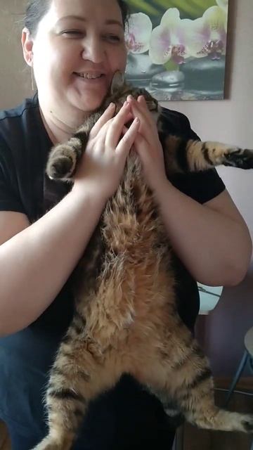 ЛЮДИ ПОМОГИТЕ смотреть онлайн