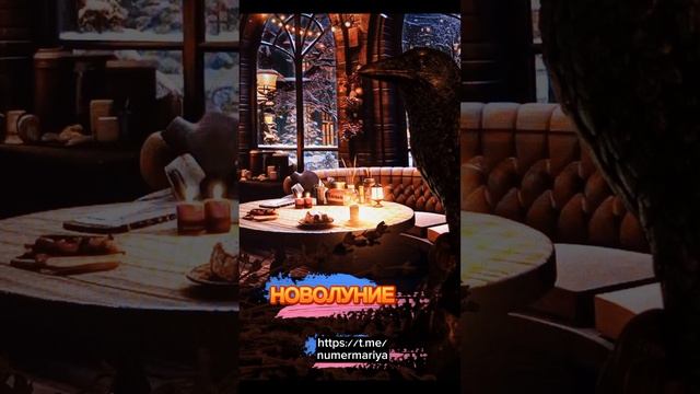 КАК И СКОЛЬКО ЗАГАДЫВАТЬ ЖЕЛАНИЙ НА НОВОЛУНИЕ? https://t.me/numermariya смотреть онлайн