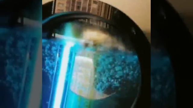 Professional Leather Bag Washing Maintenance Center Feedback Video смотреть онлайн