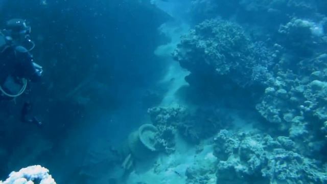 Diving Marsa Alam - extended directors cut смотреть онлайн