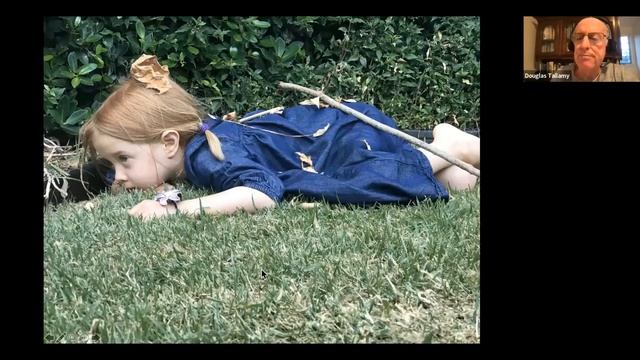 Nature's Best Hope: A Talk With Dr. Doug Tallamy