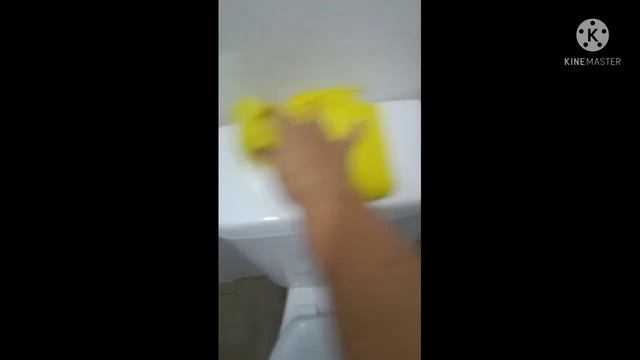 How to clean a Toilet смотреть онлайн