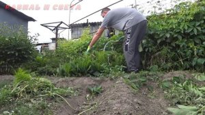 КАЗАХТАН🇰🇿 Как живут люди на Юге Казахстана.  Жизнь простой семьи в КАЗАХСТАНЕ. #деревня #хутор