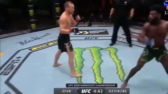 Петр Ян против Стерлинг полный бой PETR YAN ALJAMAIN STERLING