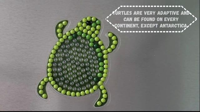 5 amazing facts about turtles. Diamond mosaic sticker смотреть онлайн
