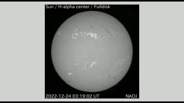 太陽 Hα全面観測 全面画像 2022年12月24日(Sun H-alpha Full Scale Observation, Full Image, Dec. 24, 2022) смотреть онлайн