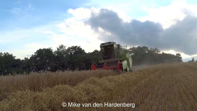 Grain Harvesting | Claas Dominator 56 | Mengele | Furstenberg | Claas Celtis | Germany | 2016. смотреть онлайн