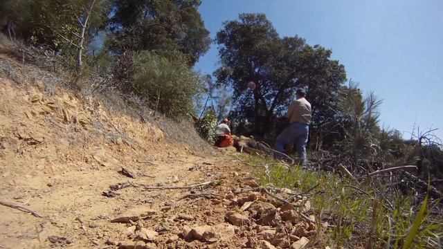 East China Hole Tree Removal.mp4 смотреть онлайн