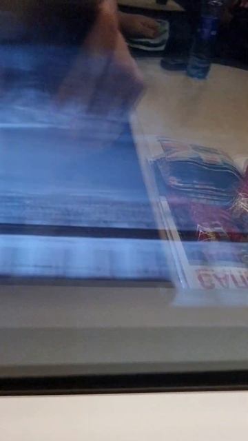 Сапсан и обледенелые провода