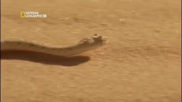 Гибель Земли National Geographic HD