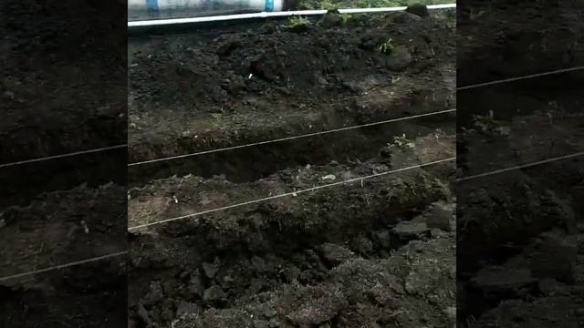 Отопление в теплице сибири смотреть онлайн