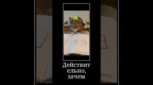 Котинет Rytp вторая серия