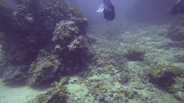 Marsa Alam Coraya Divers 2021 Brayka Bay смотреть онлайн