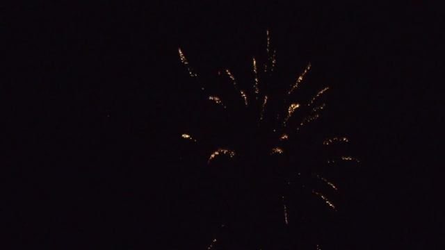 C 207 1.2” X 25 Red Tail To Brocade Crown W White Strobe