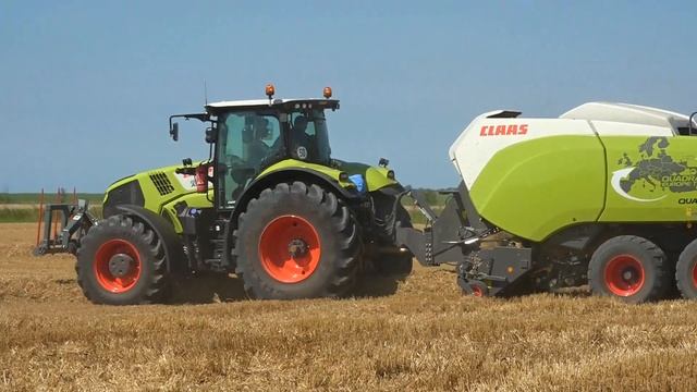 CLAAS LEXION 780 TT 12.30 m. BIG Harvest in the Netherlands смотреть онлайн