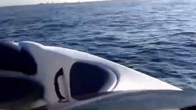Mercury 240 EFI m2 Sport Jet смотреть онлайн