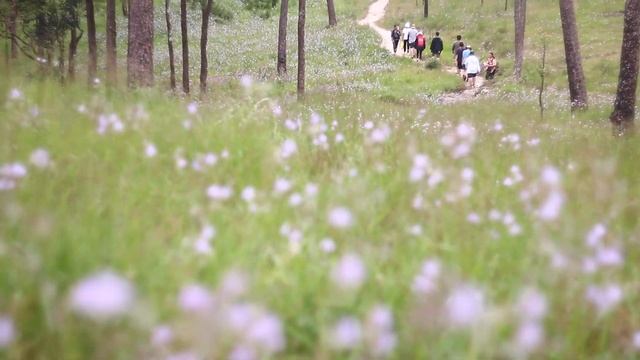 ็Helios 77M4 on Canon 70D .. Phu Soi Dao Thailand 09-09-2017 смотреть онлайн