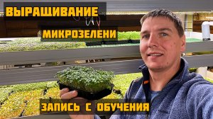 Выращивание микрозелени. Учимся вместе