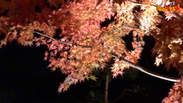 🍂 Autumnal Equinox Day (秋分の日) смотреть онлайн