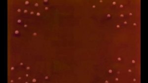 Preview 2 Спокойной Ночи Малыши D'n'B Remix Effects | Preview 2 X Deepfake Effects Round 1