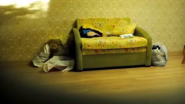 Хоккей дома смотреть онлайн