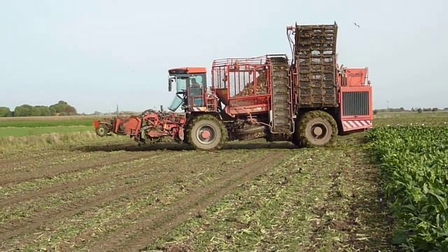 bietenrooien 2012 met Holmer T3 willems Ravenstein смотреть онлайн
