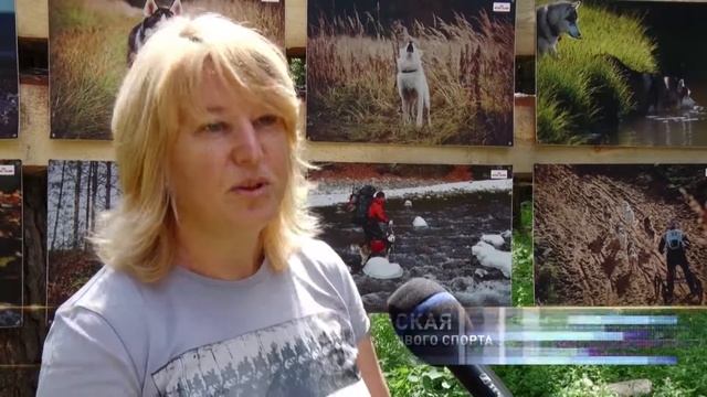 Хаски рожденный бежать в Кемерове смотреть онлайн