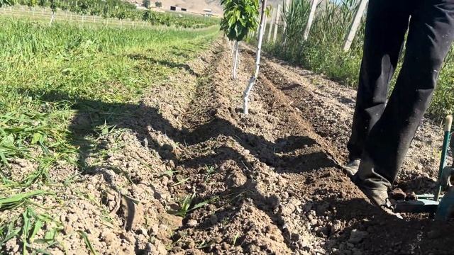 Гусеничный Мотоблок Агат Алышыны Карагыла, Обзор!!! смотреть онлайн