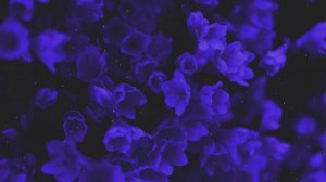 FORGOTTENAGE - HA-HA! | 1 hour