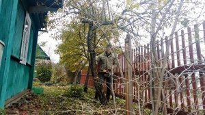 Как одному спилить яблоню на даче с помощью бензопилы.