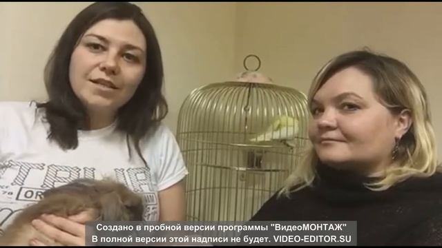 Сделай мир лучше. Платформа Anticoach. Елена Таранущенко смотреть онлайн