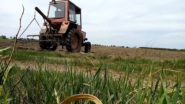 ✔Боронование на т 25 смотреть онлайн