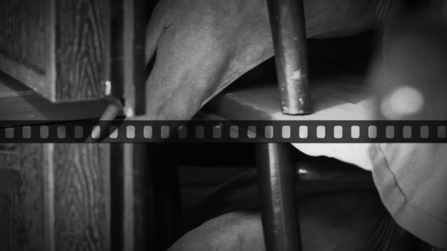 С первым апреля, ветеринарные врачи