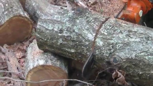 Druzbha 4M Chainsaw смотреть онлайн